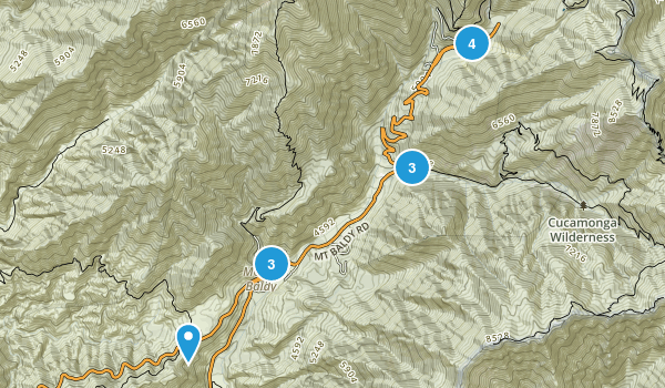 Baldy Map