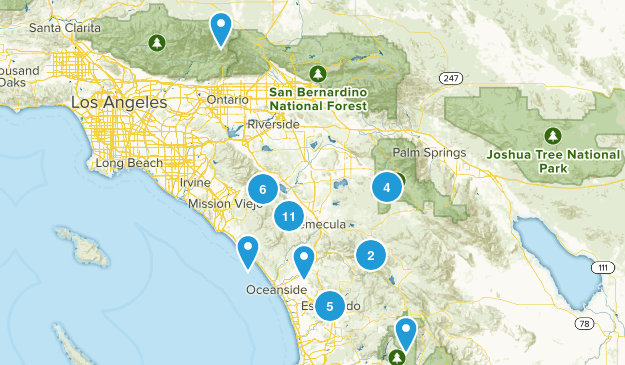 Need to check out Map