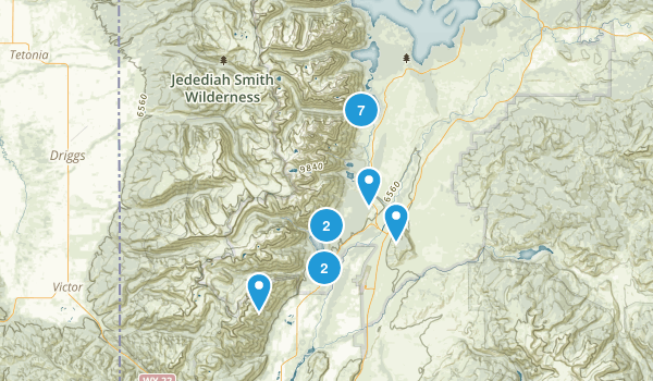 Jackson Map