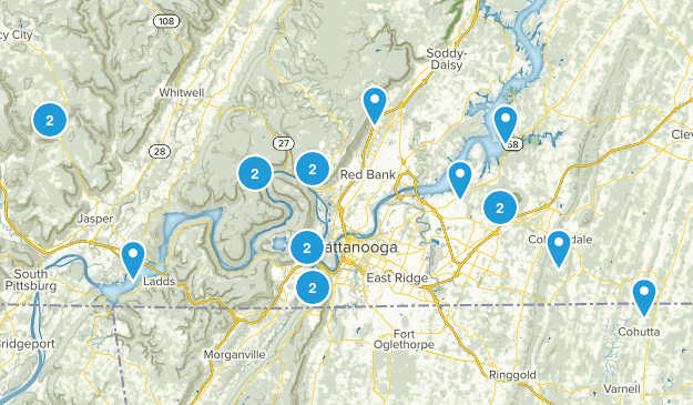 Local Map