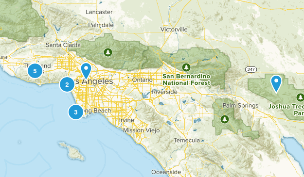 check it out Map