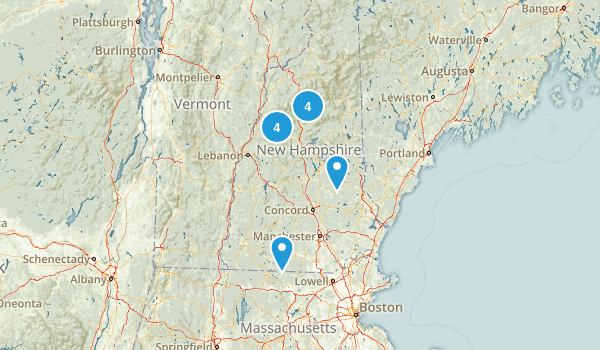 idea Map