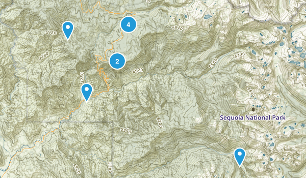 Sequoia National Park Map