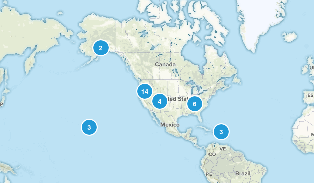 oneee day Map