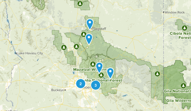 Places I've Gone Map
