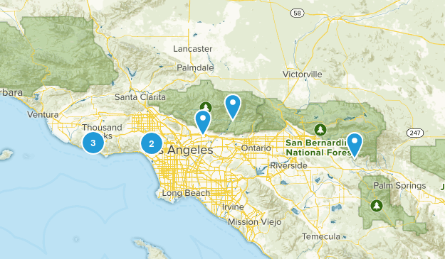 Locals Only Map