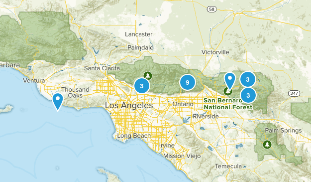 Pup Trails Map