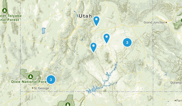 may Map
