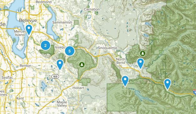 Completed Map