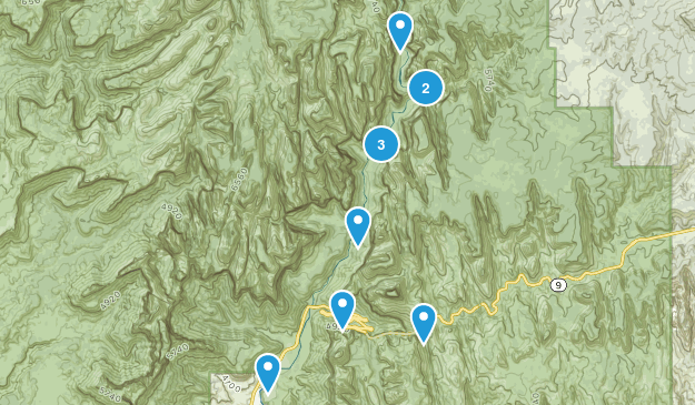 Zion NP Must Map