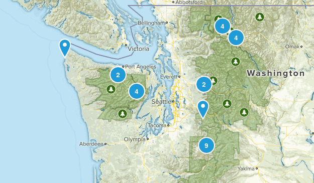 Washington State Map