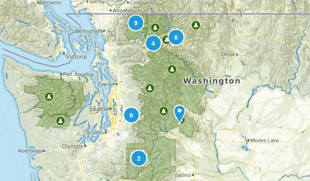 Washington Map