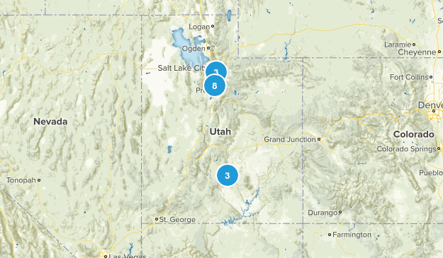 Did That Map