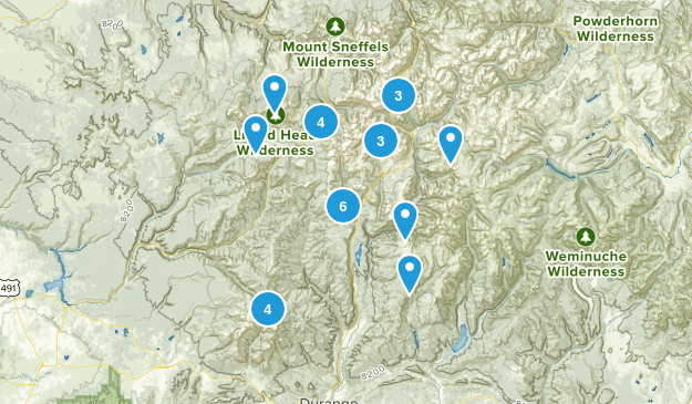 wildflower Map