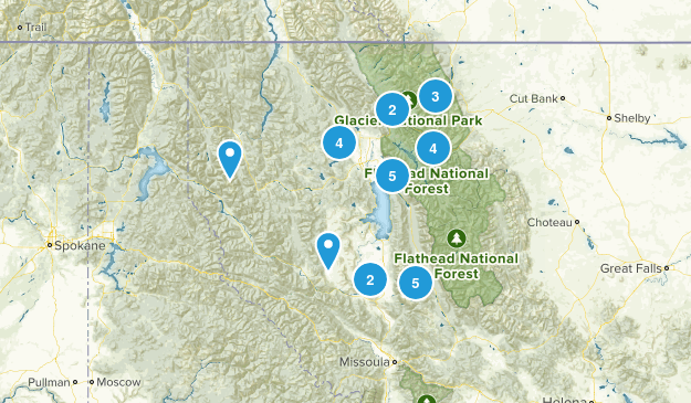 To do: Family Map