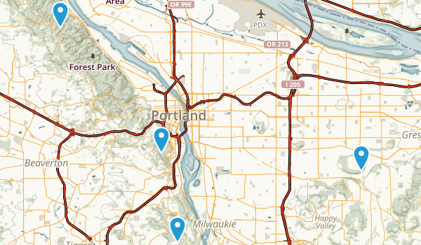 local Map