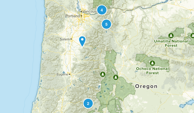 Completed Map
