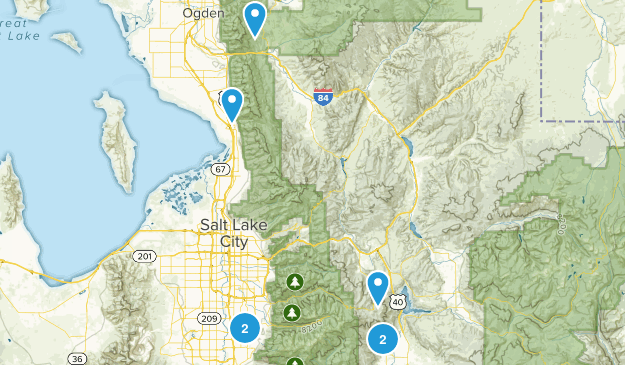kids Map