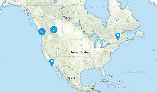 completed Map