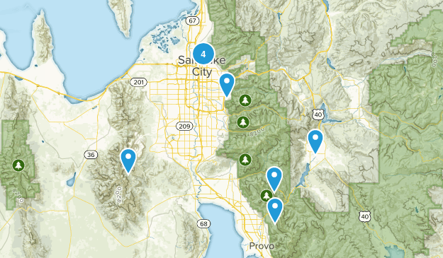 Dogs On Leash Map