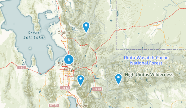 Local Map