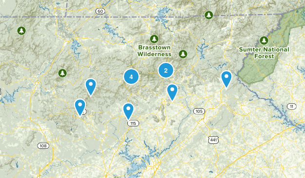 Local Map