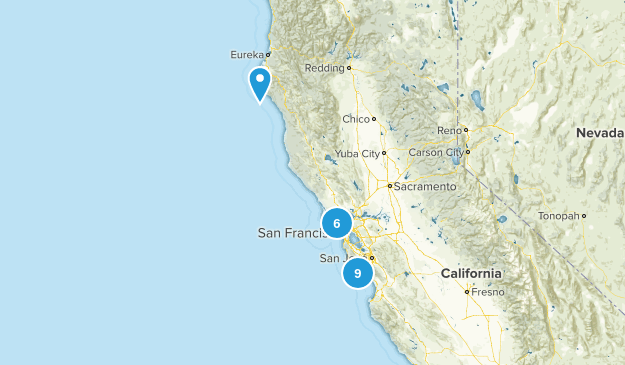 Carlie Map