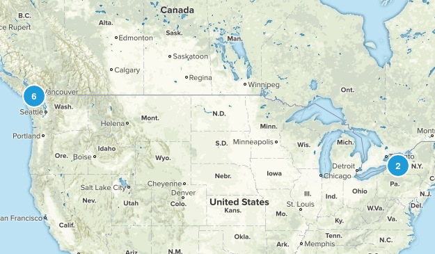 Test Map