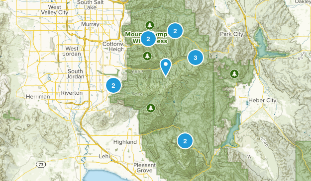 Summer Map