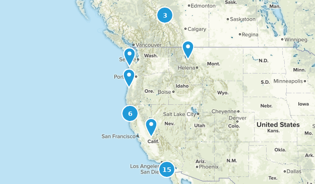 Completed Map