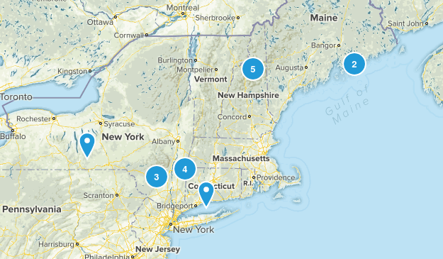 training Map