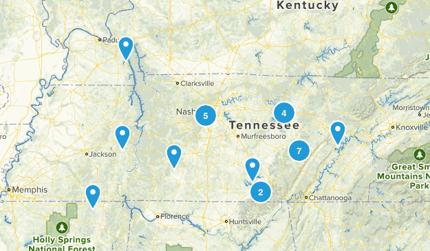 nash Map