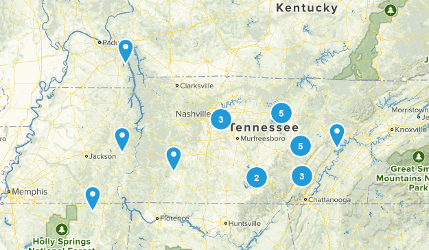 nash Map