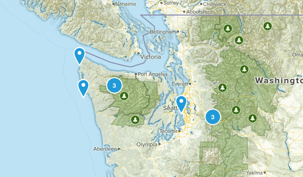 Completed Map