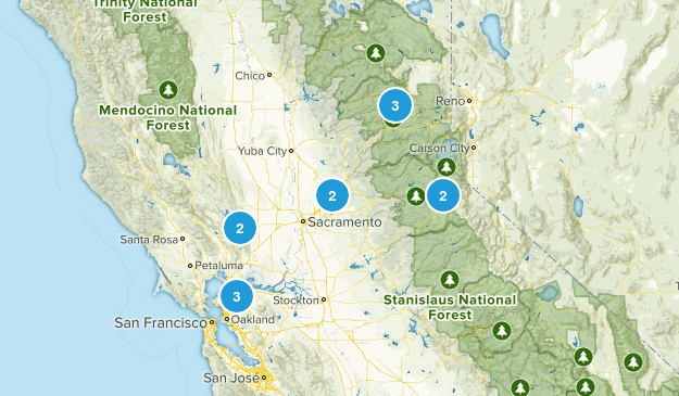 Ideas Map