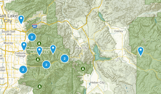 Bucket List Map