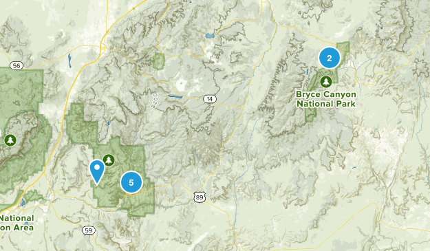 Zion, 2017 Map