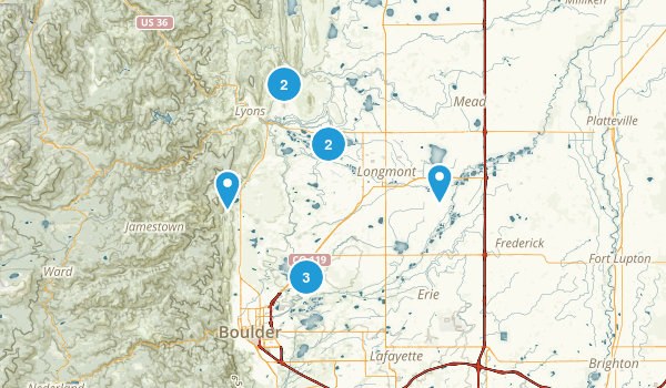Local Map