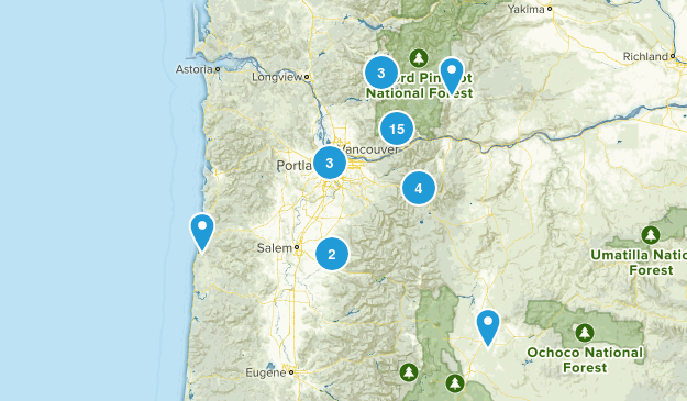 Completed Map