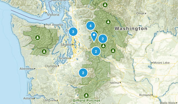 Washington Map