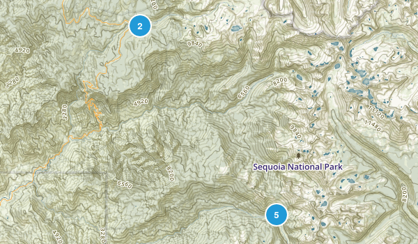 Sequoia Trip Map