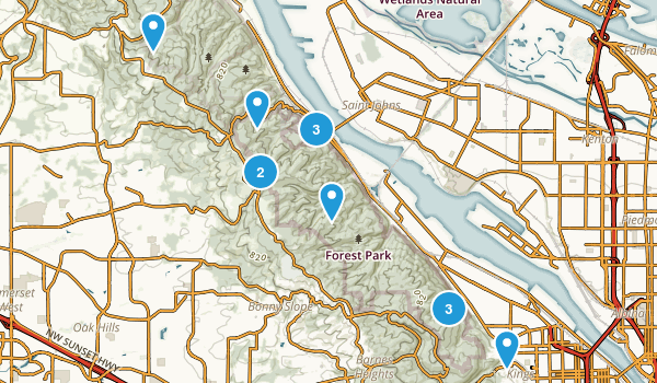 Forest Park Map