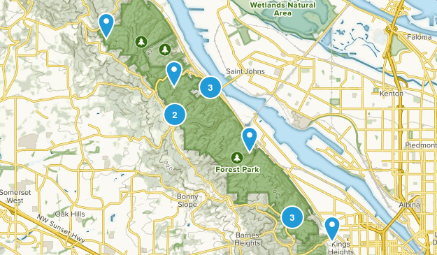 Forest Park Map
