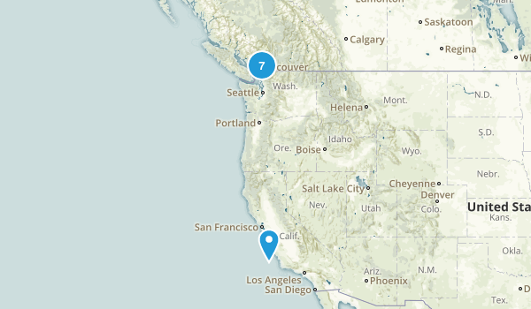 Mark Map