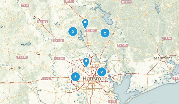 dogs Map