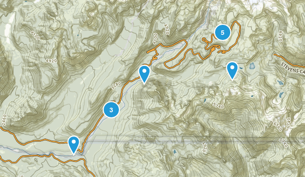 Mt Rainier - Nisqually Entrance Map