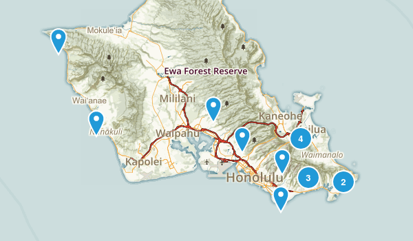 done Map