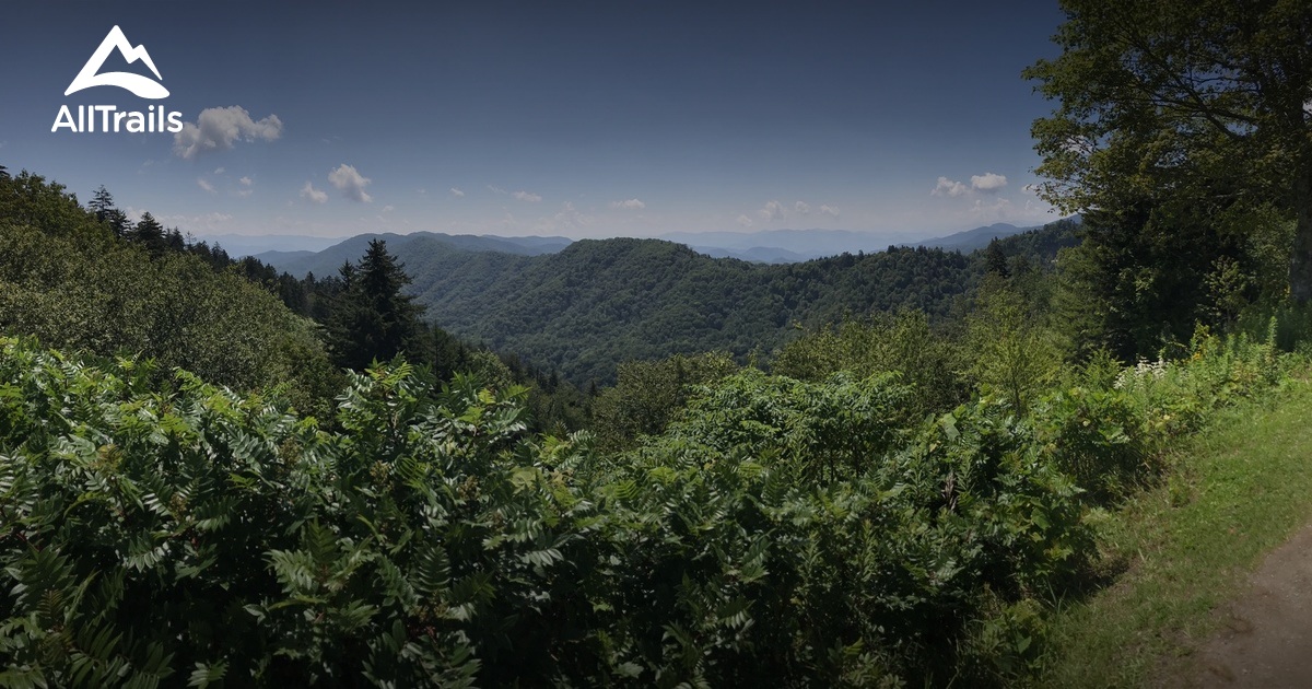 Appalachian Trail: Tennessee: Best Day Hikes | List | AllTrails