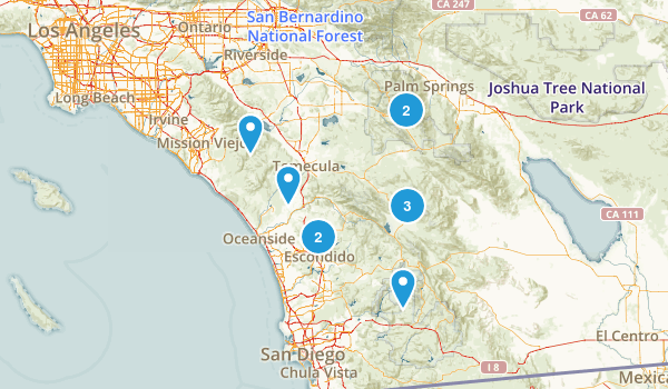 Local Map