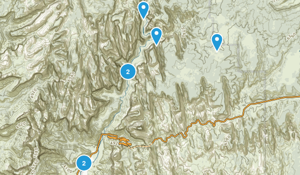Zion Trails Map